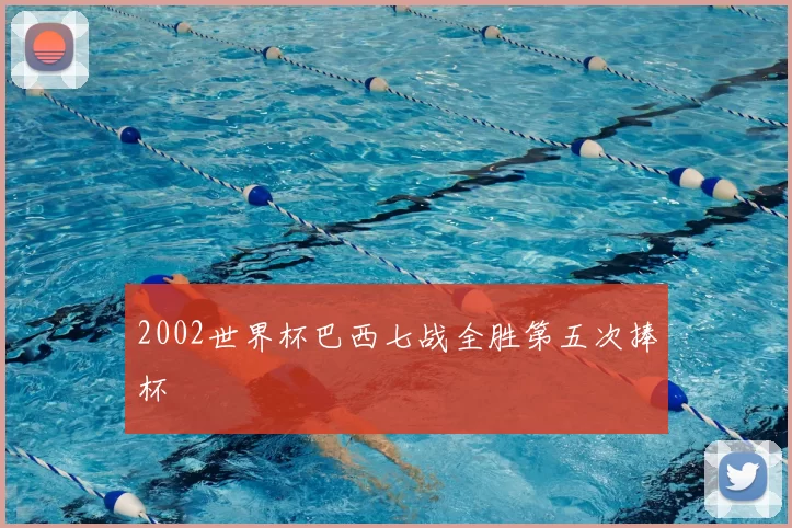 2002世界杯巴西七战全胜第五次捧杯