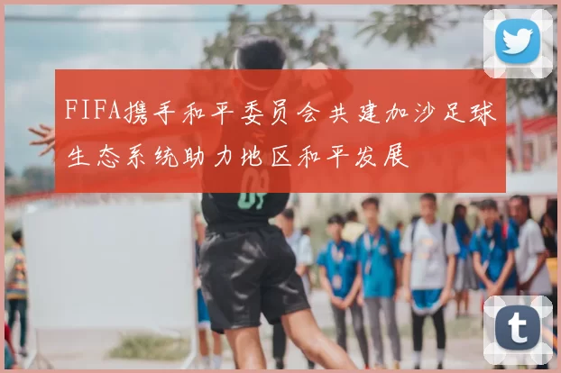 FIFA携手和平委员会共建加沙足球生态系统助力地区和平发展