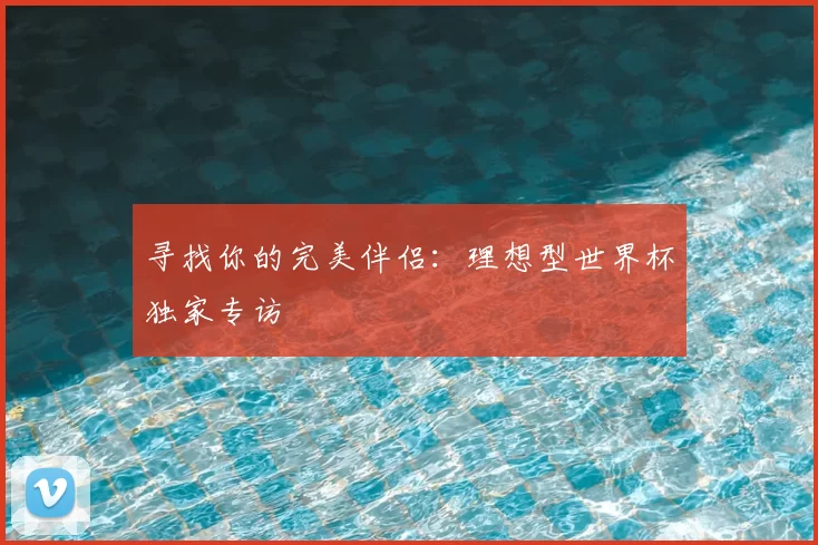 寻找你的完美伴侣:理想型世界杯独家专访