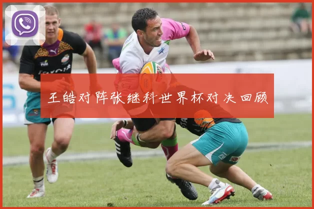 王皓对阵张继科世界杯对决回顾