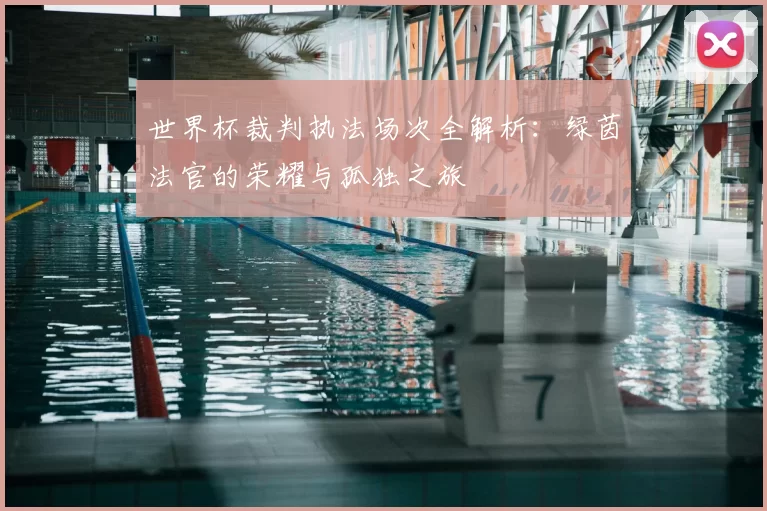 世界杯裁判执法场次全解析：绿茵法官的荣耀与孤独之旅