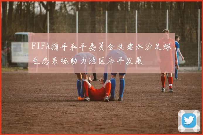 FIFA携手和平委员会共建加沙足球生态系统助力地区和平发展