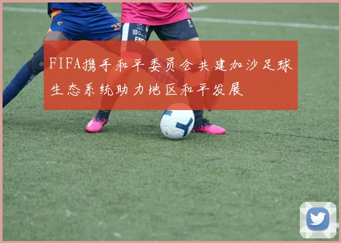 FIFA携手和平委员会共建加沙足球生态系统助力地区和平发展