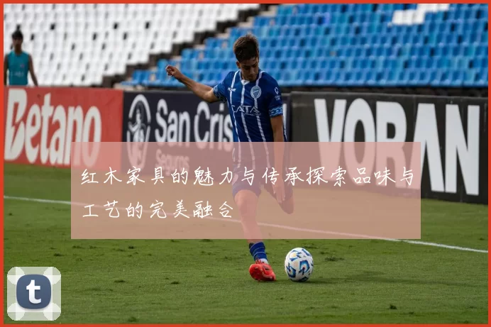 红木家具的魅力与传承探索品味与工艺的完美融合
