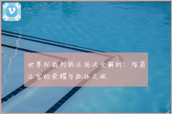 世界杯裁判执法场次全解析：绿茵法官的荣耀与孤独之旅