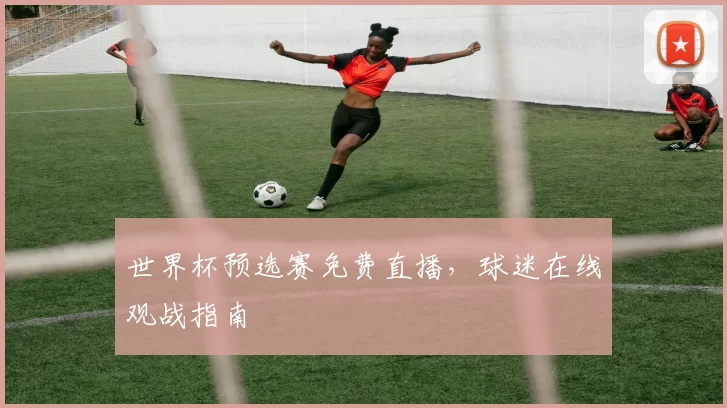 世界杯预选赛免费直播,球迷在线观战指南