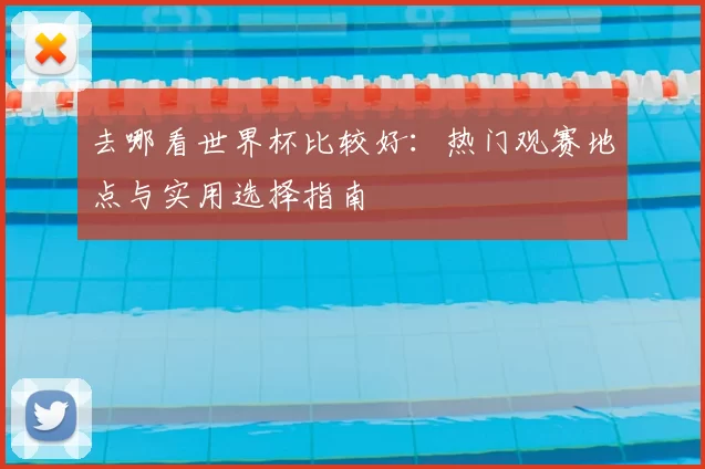 去哪看世界杯比较好:热门观赛地点与实用选择指南