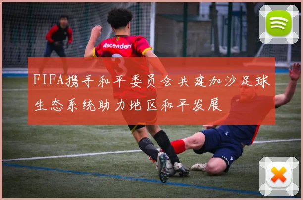 FIFA携手和平委员会共建加沙足球生态系统助力地区和平发展