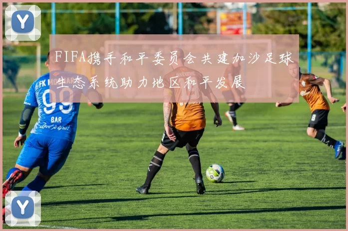 FIFA携手和平委员会共建加沙足球生态系统助力地区和平发展