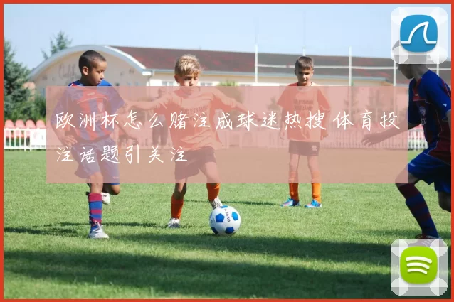 欧洲杯怎么赌注成球迷热搜 体育投注话题引关注