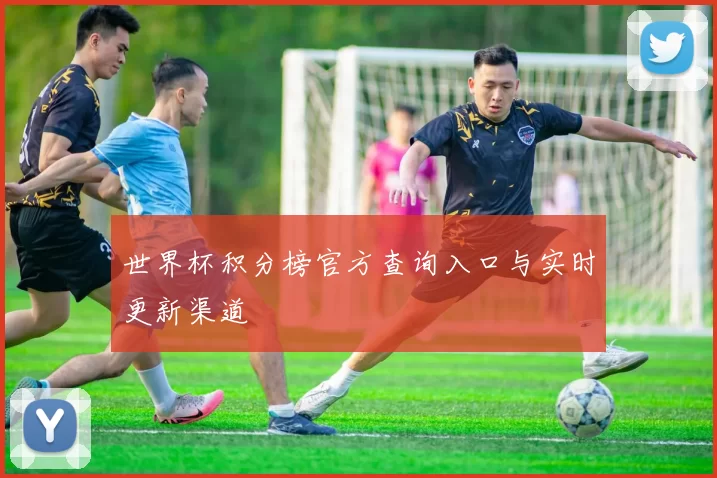 世界杯积分榜官方查询入口与实时更新渠道