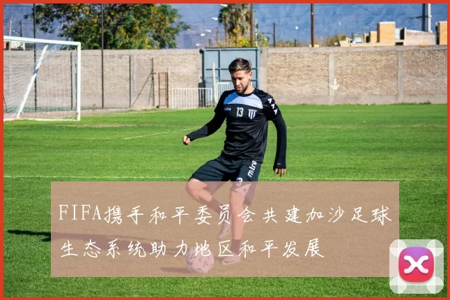 FIFA携手和平委员会共建加沙足球生态系统助力地区和平发展
