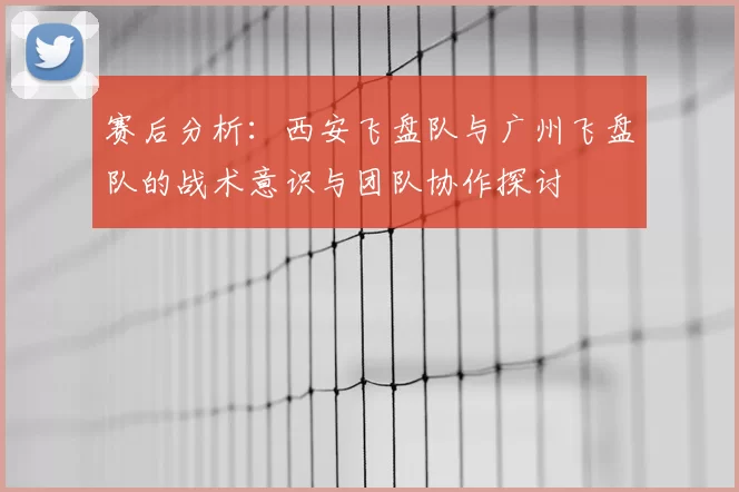 赛后分析:西安飞盘队与广州飞盘队的战术意识与团队协作探讨