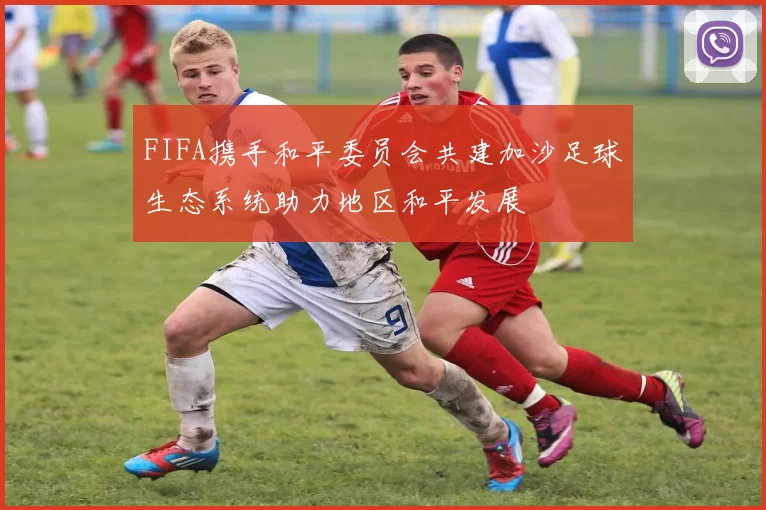 FIFA携手和平委员会共建加沙足球生态系统助力地区和平发展