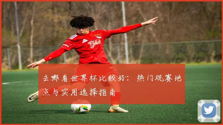 去哪看世界杯比较好：热门观赛地点与实用选择指南