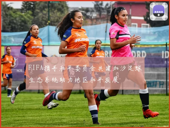 FIFA携手和平委员会共建加沙足球生态系统助力地区和平发展