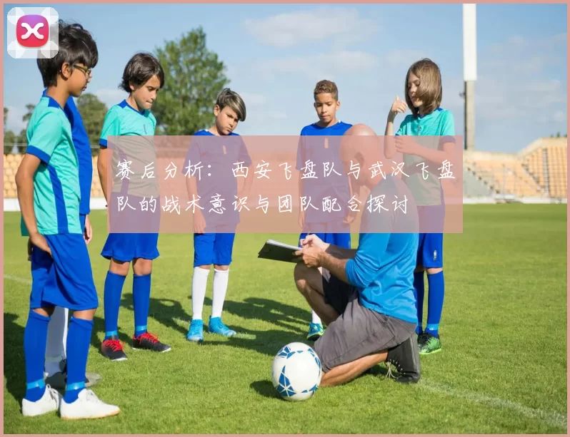 赛后分析:西安飞盘队与武汉飞盘队的战术意识与团队配合探讨