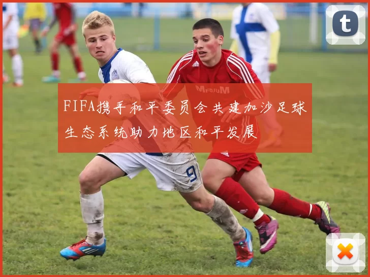 FIFA携手和平委员会共建加沙足球生态系统助力地区和平发展