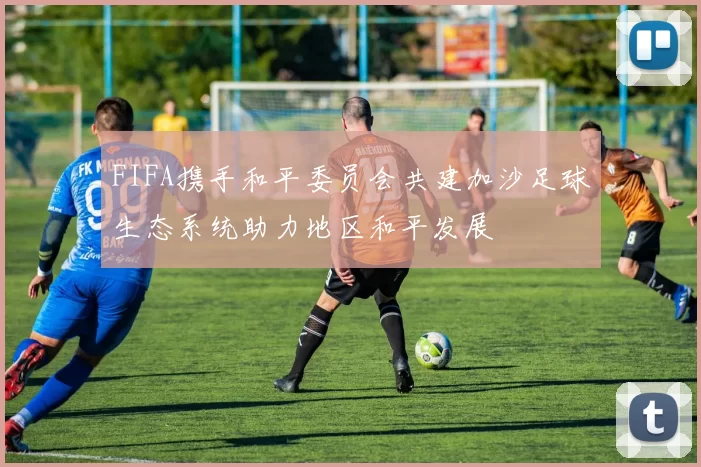 FIFA携手和平委员会共建加沙足球生态系统助力地区和平发展