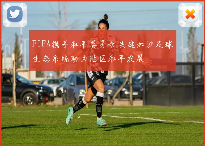 FIFA携手和平委员会共建加沙足球生态系统助力地区和平发展
