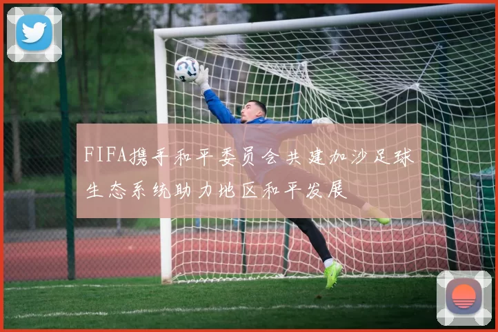 FIFA携手和平委员会共建加沙足球生态系统助力地区和平发展