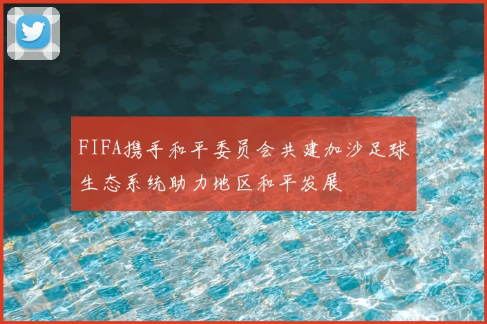 FIFA携手和平委员会共建加沙足球生态系统助力地区和平发展