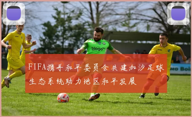 FIFA携手和平委员会共建加沙足球生态系统助力地区和平发展