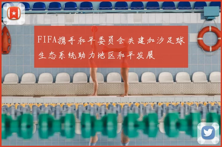 FIFA携手和平委员会共建加沙足球生态系统助力地区和平发展