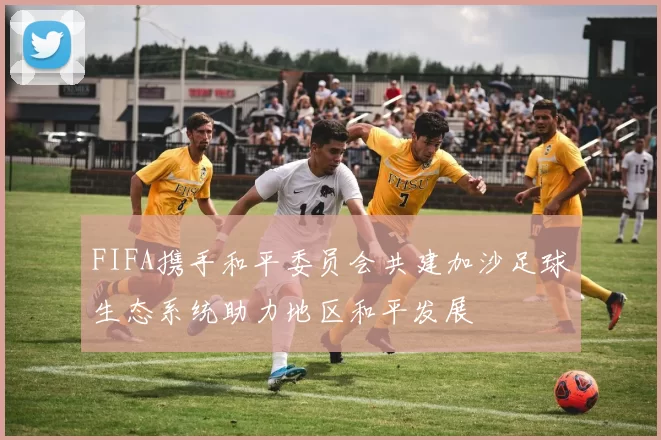 FIFA携手和平委员会共建加沙足球生态系统助力地区和平发展