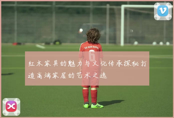 红木家具的魅力与文化传承探秘打造高端家居的艺术之选