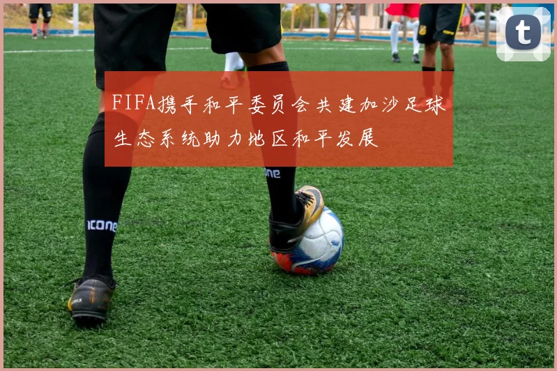 FIFA携手和平委员会共建加沙足球生态系统助力地区和平发展