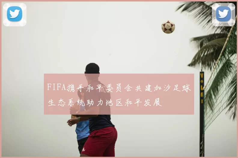 FIFA携手和平委员会共建加沙足球生态系统助力地区和平发展