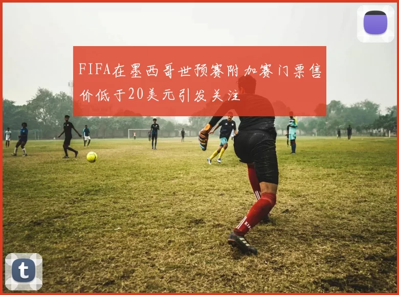 FIFA在墨西哥世预赛附加赛门票售价低于20美元引发关注