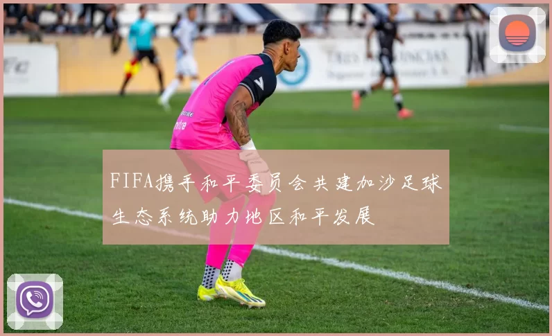 FIFA携手和平委员会共建加沙足球生态系统助力地区和平发展