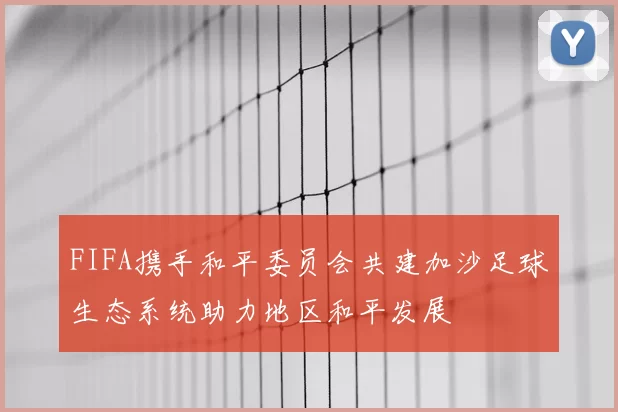 FIFA携手和平委员会共建加沙足球生态系统助力地区和平发展